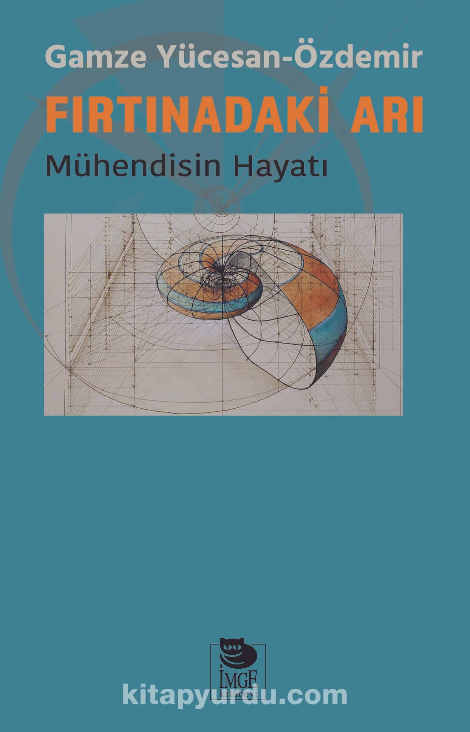 Fırtınadaki Arı & Mühendisin Hayatı