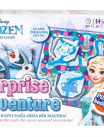 Frozen surprise adventure( 10903)
