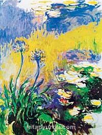 Les Agapanthes / Claude Monet (MCL 00-30x40) (Çerçevesiz)