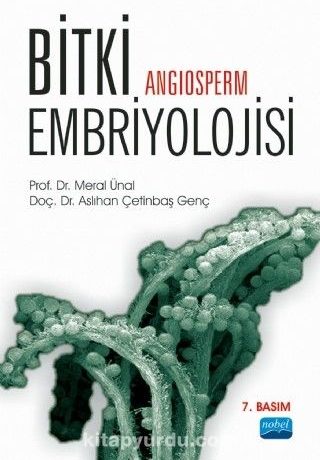 Bitki Embriyolojisi (Angiosperm)