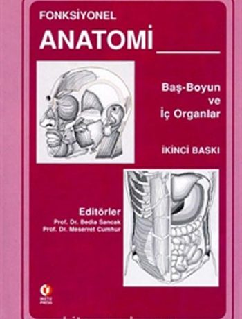 Fonksiyonel Anatomi /Baş Boyun ve İç Organlar