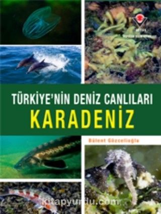 Karadeniz - Türkiye'nin Deniz Canlıları