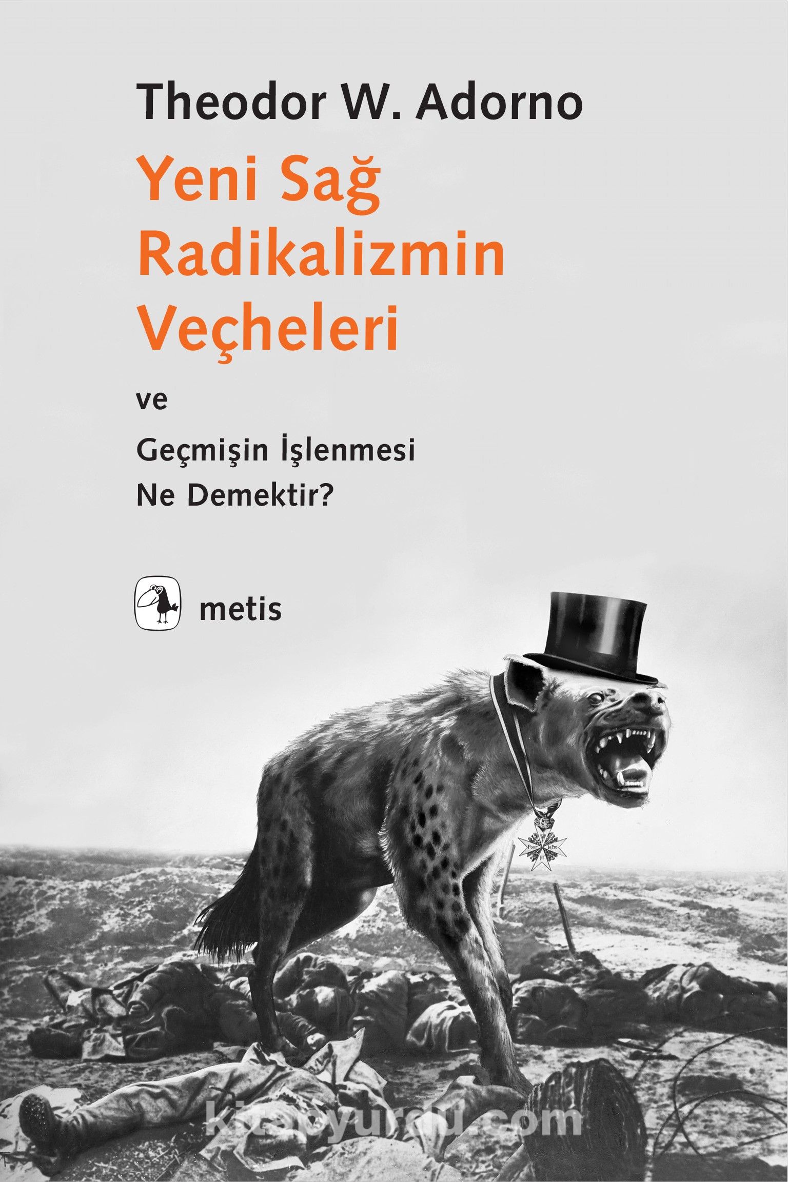 Yeni Sağ Radikalizmin Veçheleri & ve Geçmişin İşlenmesi Ne Demektir?