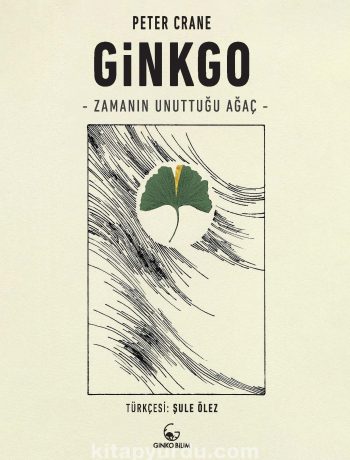 Ginkgo & Zamanın Unuttuğu Ağaç