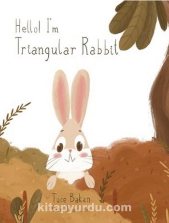 Hello I'm Triangular Rabbit