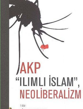 AKP Ilımlı İslam, Neoliberalizm