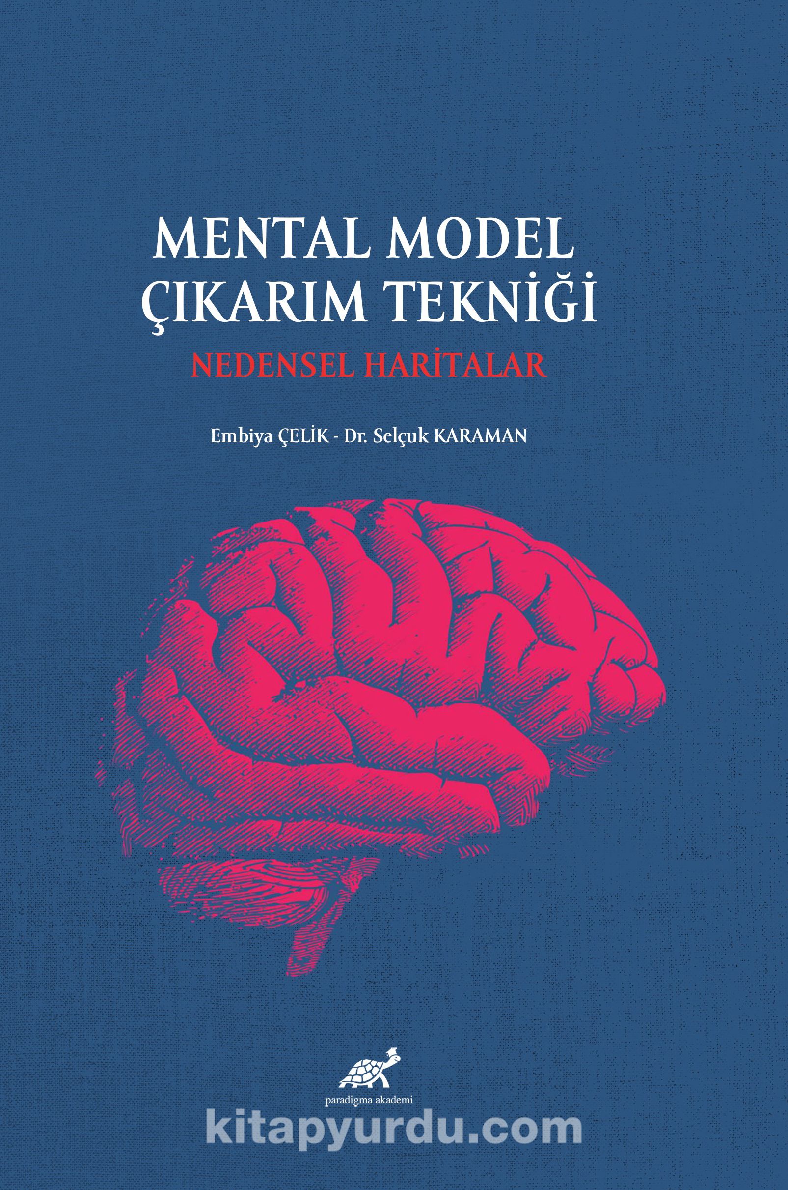 Mental Model Çıkarım Tekniği: Nedensel Haritalar