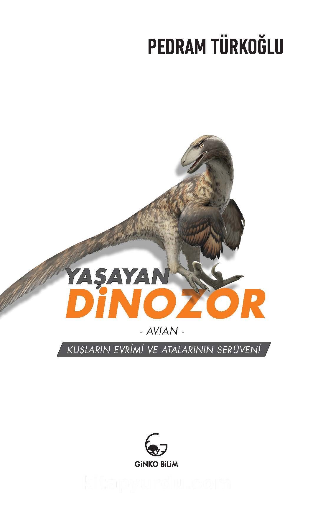 Yaşayan Dinozor -  Avian - Kuşların Evrimi ve Atalarının Serüveni