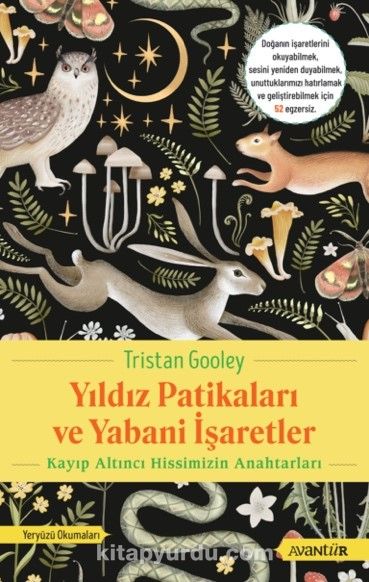 Yıldız Patikaları ve Yabani İşaretler & Kayıp Altıncı Hissimizin Anahtarları