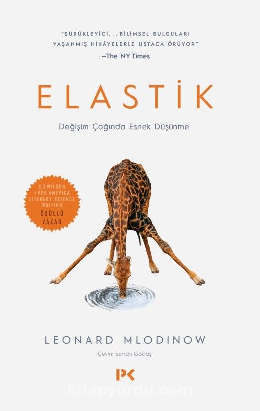 Elastik & Değişim Çağında Esnek Düşünme