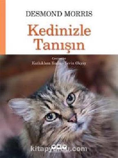 Kedinizle Tanışın