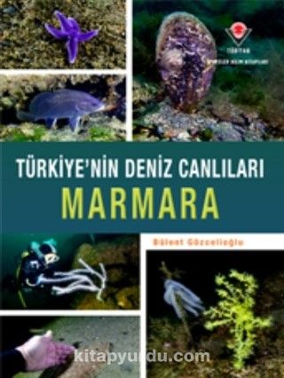 Marmara - Türkiye'nin Deniz Canlıları