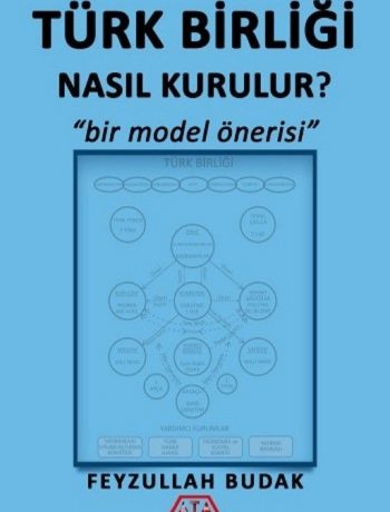 Türk Birliği Nasıl Kurulur? & Bir Model Önerisi