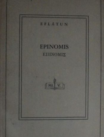 Epinomis / 4-E-20