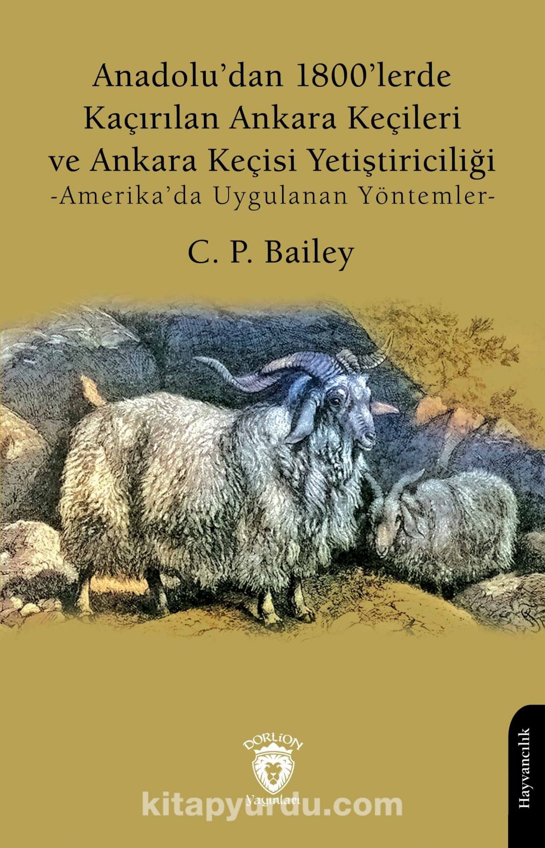 Anadolu’dan 1800’lerde Kaçırılan Ankara Keçileri ve Ankara Keçisi Yetiştiriciliği & Amerika’da Uygulanan Yöntemler
