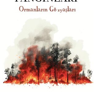 Orman Yangınları / Ormanların Gözyaşları