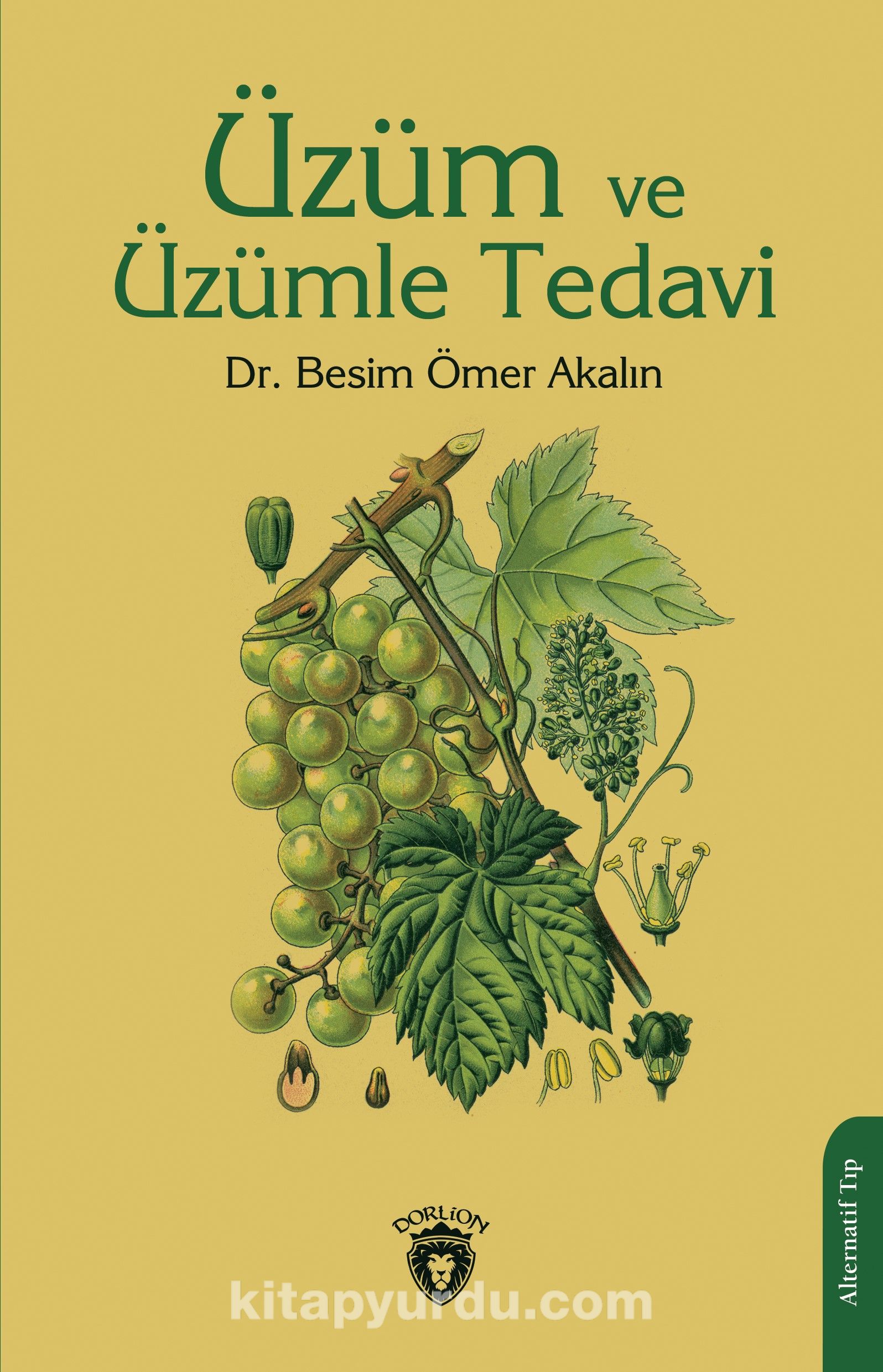 Üzüm ve Üzümle Tedavi