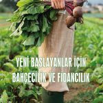 Yeni Başlayanlar İçin Bahçecilik ve Fidancılık